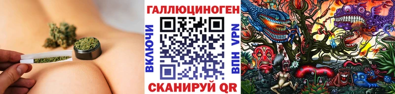 Галлюциногенные грибы Psilocybine cubensis  Каменногорск 